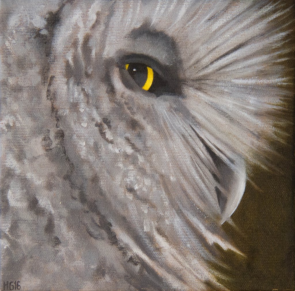 Ural Owl / Slaguggla (Ugglegubben)